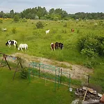 Anandaresort - Vegewakacje - Osrodek Dla Wegetarian I Vegan * Władysławowo