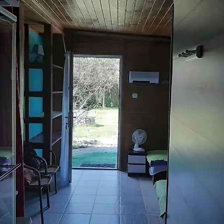 Anandaresort - Vegewakacje - Osrodek Dla Wegetarian I Vegan * Władysławowo