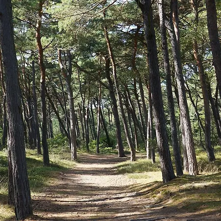 Anandaresort - Vegewakacje - Osrodek Dla Wegetarian I Vegan Władysławowo