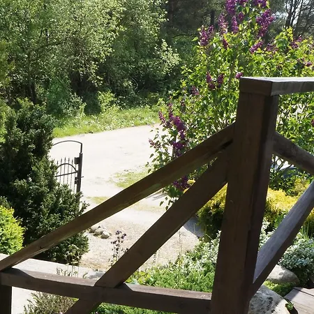 Anandaresort - Vegewakacje - Osrodek Dla Wegetarian I Vegan * Władysławowo