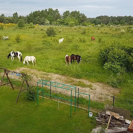 Anandaresort - Vegewakacje - Osrodek Dla Wegetarian I Vegan * Władysławowo