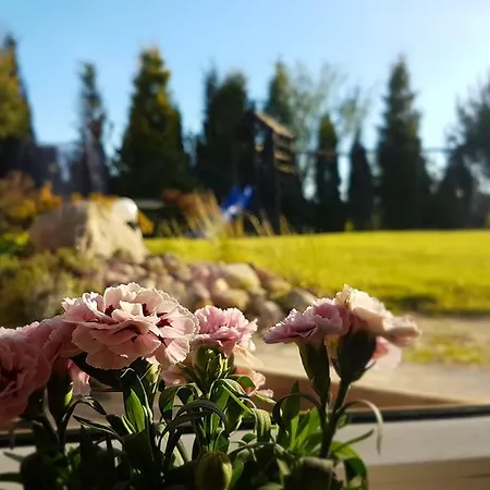 Anandaresort - Vegewakacje - Osrodek Dla Wegetarian I Vegan Władysławowo