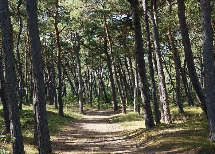 Anandaresort - Vegewakacje - Osrodek Dla Wegetarian I Vegan Władysławowo