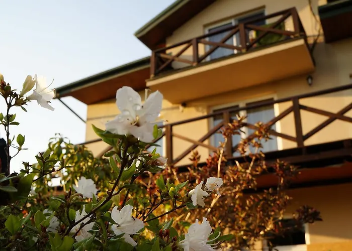 Anandaresort - Vegewakacje - Osrodek Dla Wegetarian I Vegan Privat bolig Władysławowo