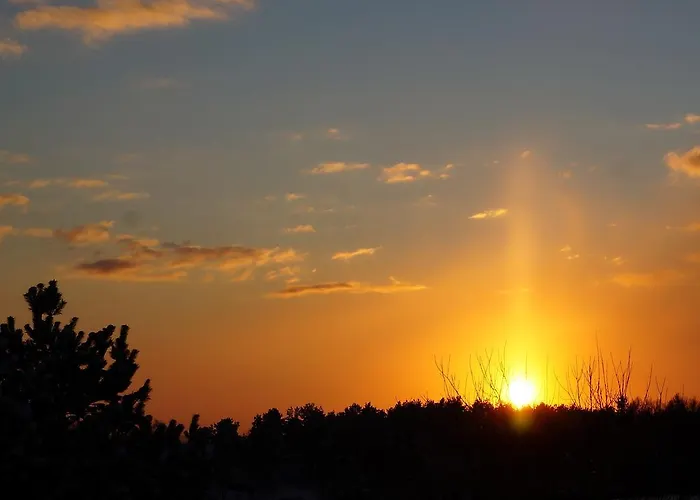 Anandaresort - Vegewakacje - Osrodek Dla Wegetarian I Vegan Władysławowo