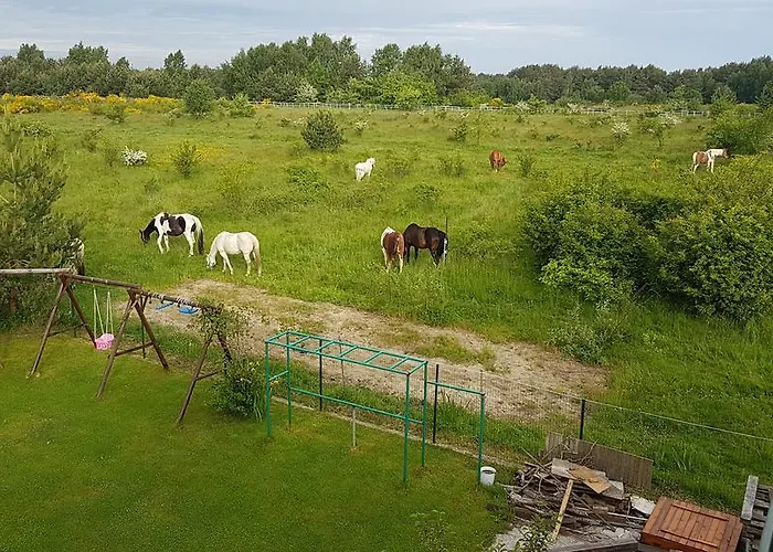 Anandaresort - Vegewakacje - Osrodek Dla Wegetarian I Vegan * Władysławowo
