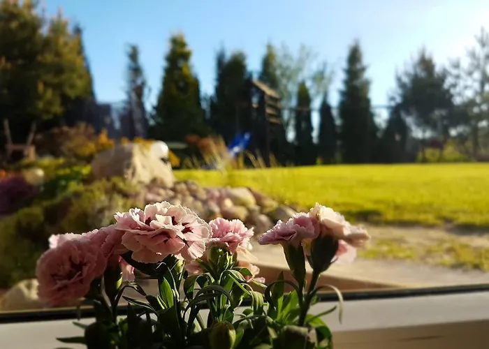 Anandaresort - Vegewakacje - Osrodek Dla Wegetarian I Vegan Władysławowo